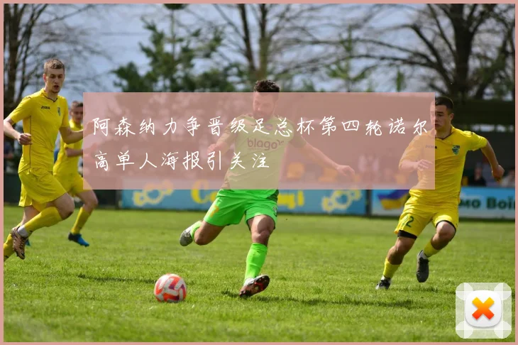 阿森纳力争晋级足总杯第四轮诺尔高单人海报引关注
