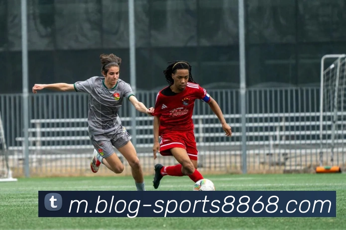 8868体育APP 封面图